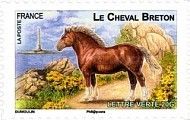 Breton Horse (Equus ferus caballus)
