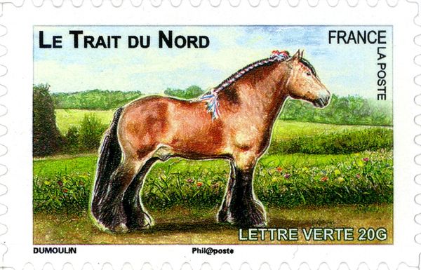 Trait North (Equus ferus caballus)