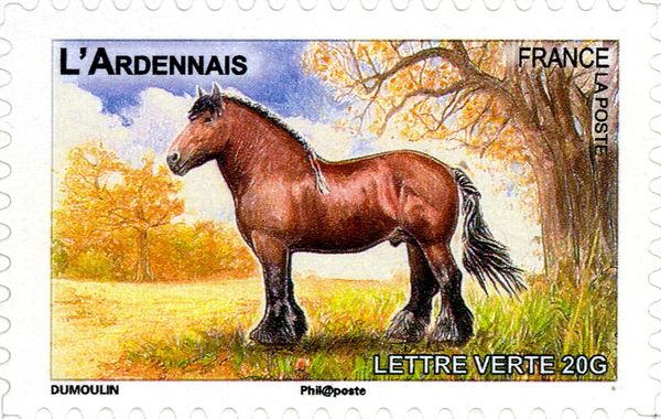 Ardennais (Equus ferus caballus)