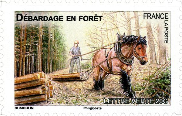 Horse (Equus ferus caballus) working in the Forest