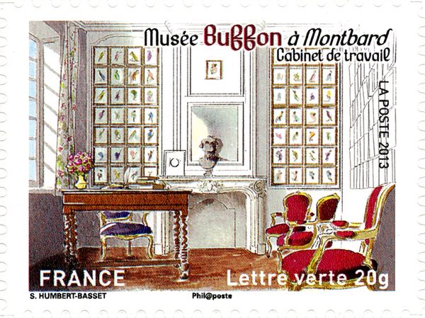 Buffon Museum Montbard. Study