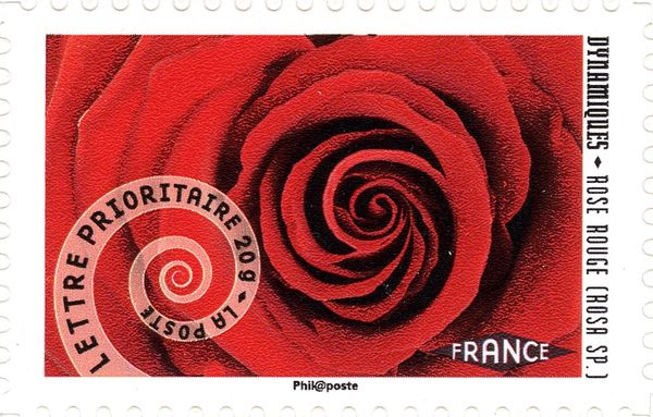 Red Rose