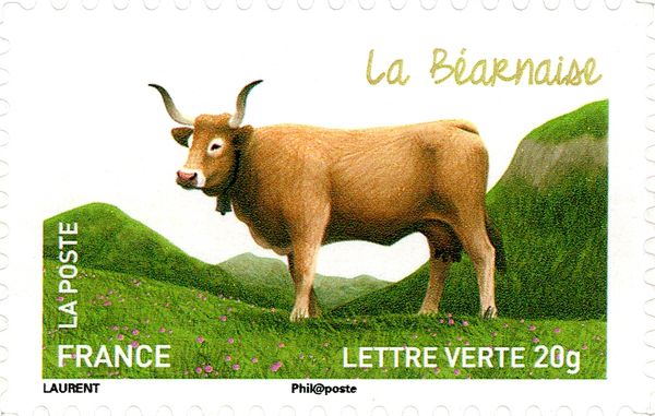 Béarnaise (Bos primigenius taurus)