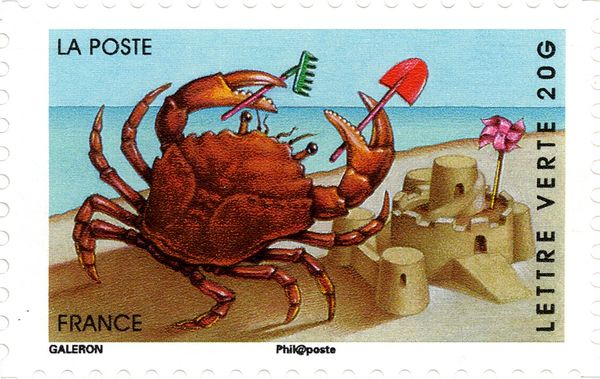 Crab on the Beach