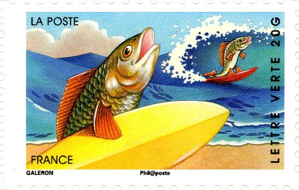 Fish on Surfboards