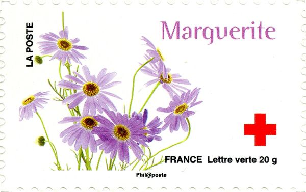 Marguerite