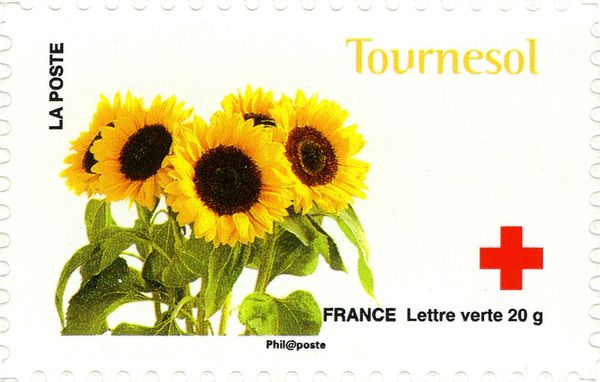 Tournesol