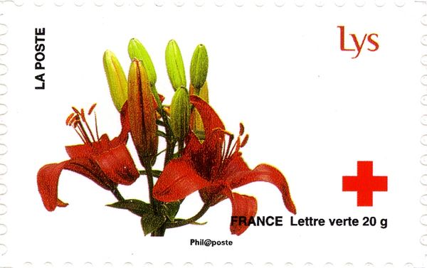 Lys