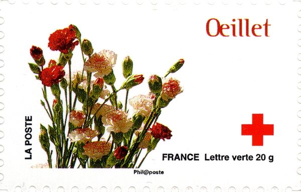Oeillet