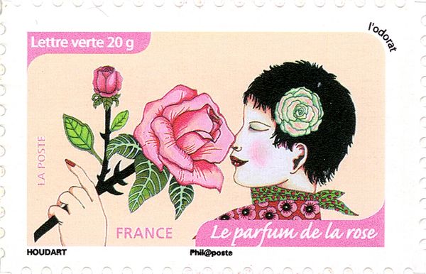 The Scent of Rose