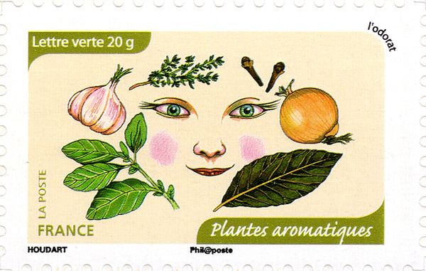 Aromatic Plants