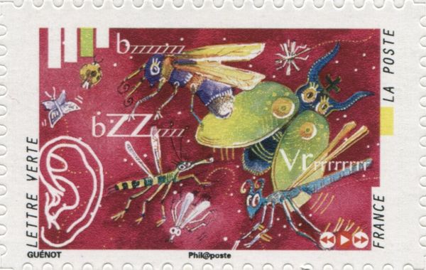 The insect flight