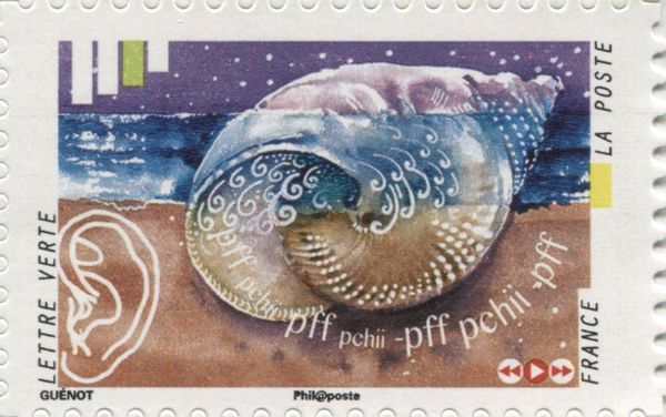 The noise of the sea in the a seashell