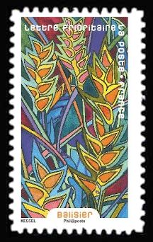 Heliconia