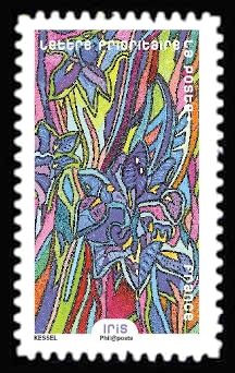 Iris