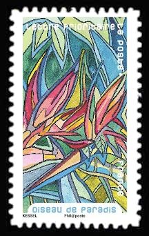 Bird of paradise