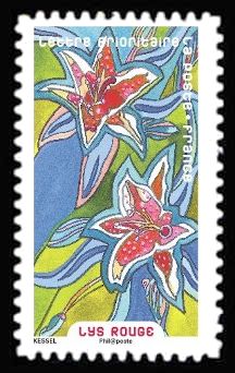 Red lily