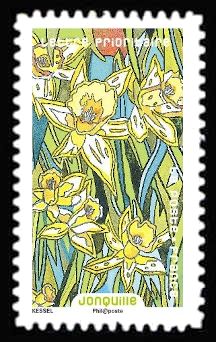 Daffodil