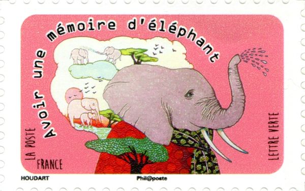 Have an elephant's memory