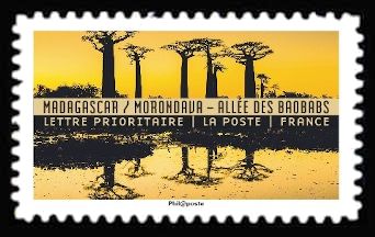 Avenue of Baobabs (Morindava / Madagascar)