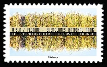 Everglades (Florida / USA)