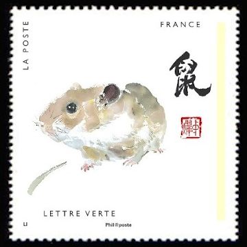 Rat