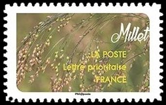 Millet