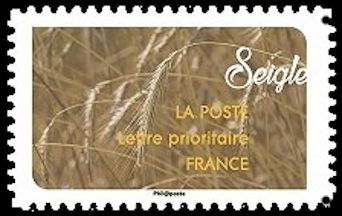 Seigle (Rye)