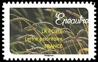 Epeautre (Spelt)