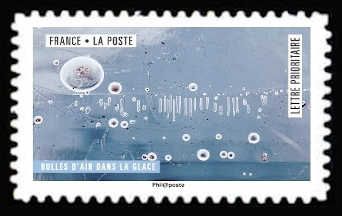 Air Bubbles in the Ice