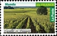 Vineyard in Burgundy