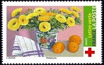 Calendulas and Oranges