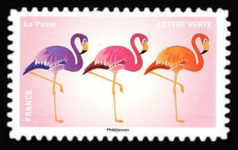Flamands roses