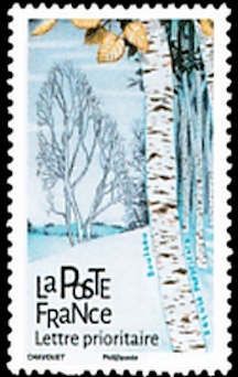 Birch (Betula papyrifera)