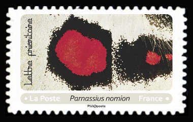 Nomion Apollo (Parnassius nomion)