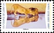 Lions