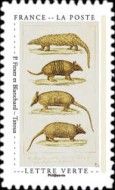 "Armadillos" by P Fitxer and Blanchard