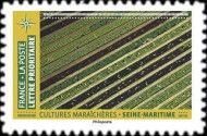 Vegetable Fields, Seine-Maritime
