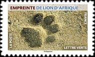 Footprint of African Lion