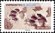 Footprint of Jaguar