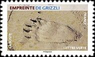Footprint of Grizzly Bear