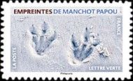 Footprint of Gentoo Penguin