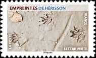 Footprint of Hedgehog