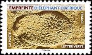 Footprint of African Elephant