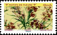 Pattern of Gladiolus