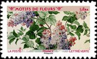 Pattern of Lilac