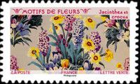 Pattern of Hyacinthes and Crocus