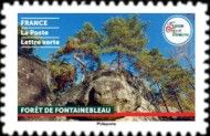 Fontainebleau Forest