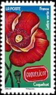Poppy Flower and Coquelicot Poppy Candy