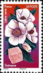 Marsh Mallow Flower and Marshmallow